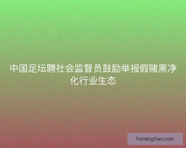中国足坛聘社会监督员鼓励举报假赌黑净化行业生态