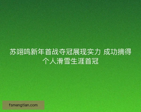 苏翊鸣新年首战夺冠展现实力 成功摘得个人滑雪生涯首冠 苏翊鸣新年首战夺冠展现实力 成功摘得个人滑雪生涯首冠